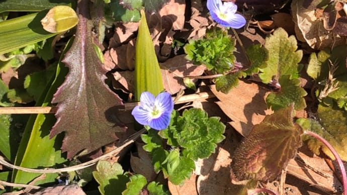 3月がやってきた