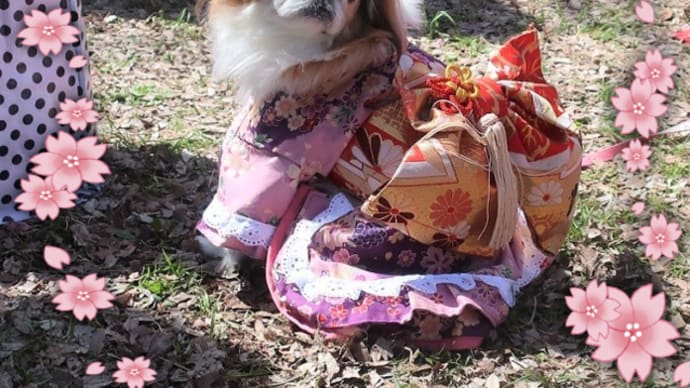 皆さん♡幸せ時間をありがとうございました【お花見オフ会後半】