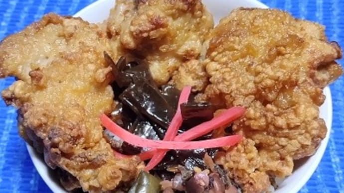【12/05昼食】桜島鶏もも唐揚げなお総菜、小パックの1食分を選んだんだね:D
