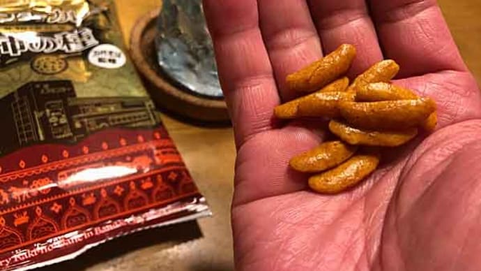 新潟名物「バスセンターのカレー風味 柿の種」!