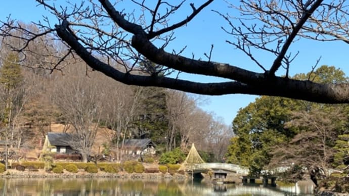 薬師池公園