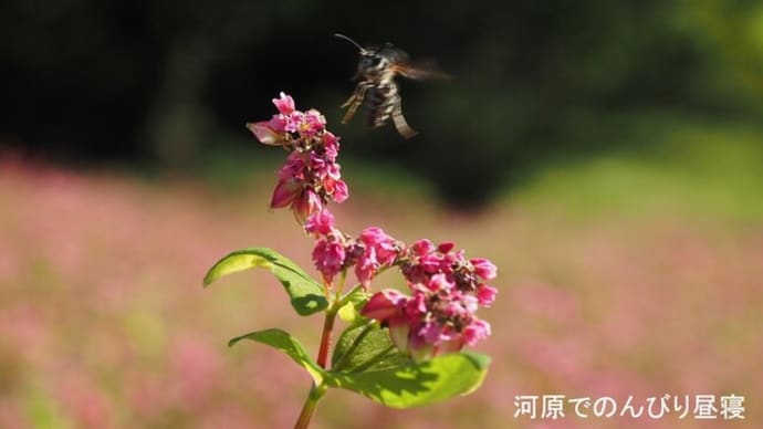 暖かい一日