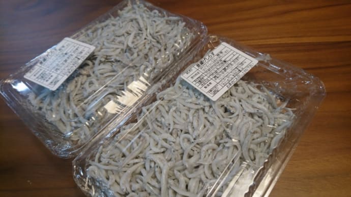 長十水産のしらす