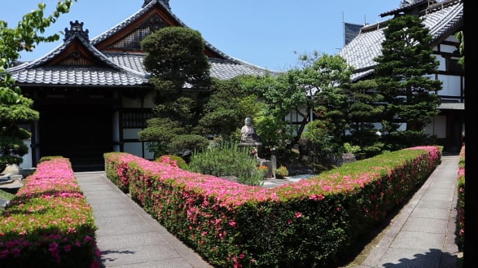 京都・妙心寺塔頭「慈雲院」皐月