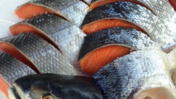 お歳暮のお試しに、時鮭10切、自宅用に注文されてはいかがでしょうか?