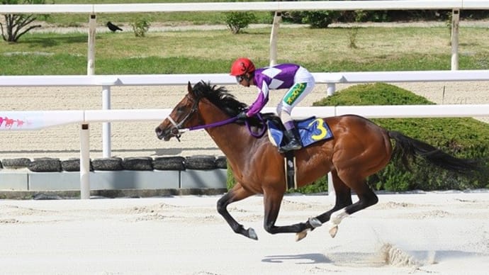 戎さまは乗馬が得意?