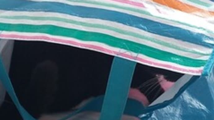 こっちが聞きたい