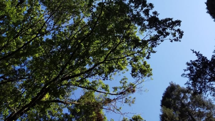 昭和の森里山ウォーキング。