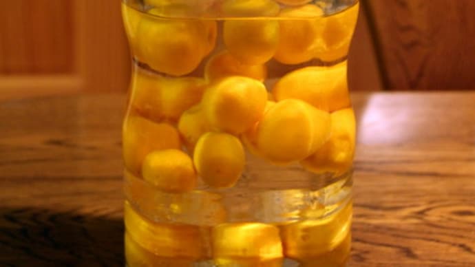 金柑酒