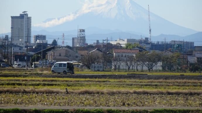 白い富士山は縁起が良いですね