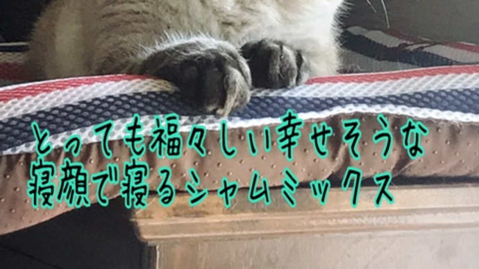 取ったどーー!!