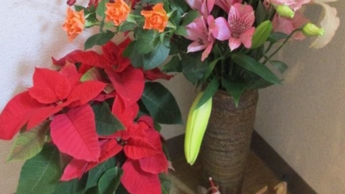 12月の開店花 (・∀・)