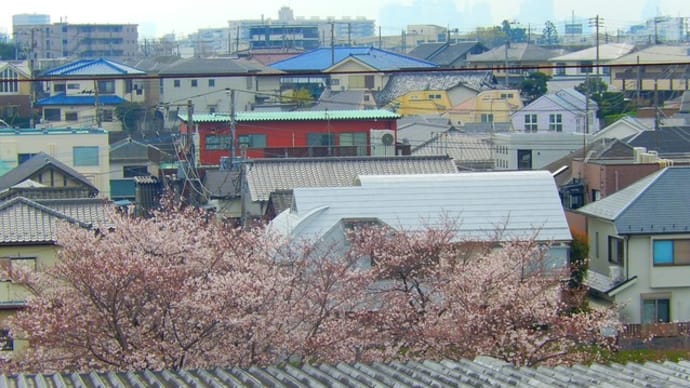 「自粛要請」だけではダメ!