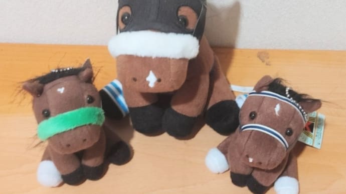 🐴天皇賞(秋) 2020