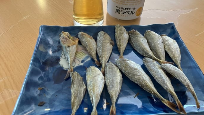 海釣りの楽しみ