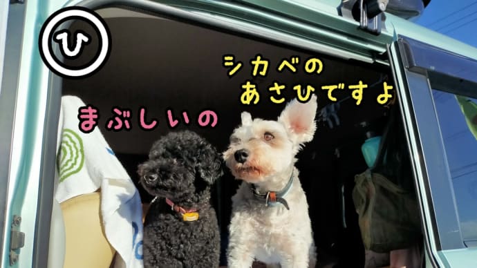 久々の御朱印&えぞみくじ