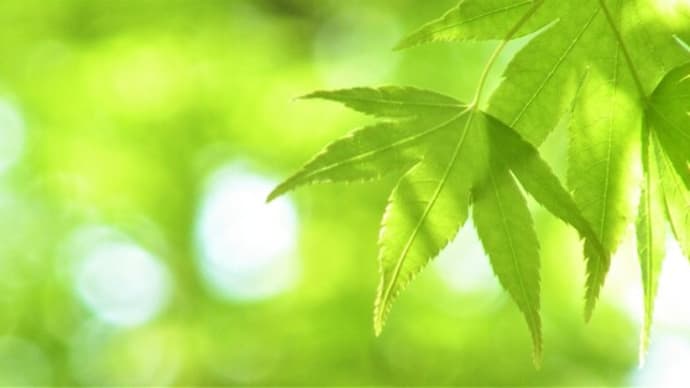 骨密度測定