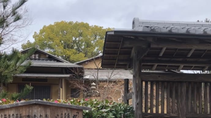大覚寺大沢池*