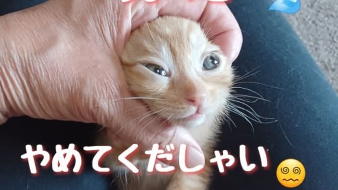 すぐ仲良し♪
