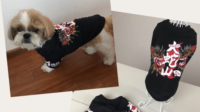 愛犬用大蛇山Tシャツ作ってみた