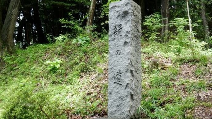 観察会で ~ ツチアケビなど