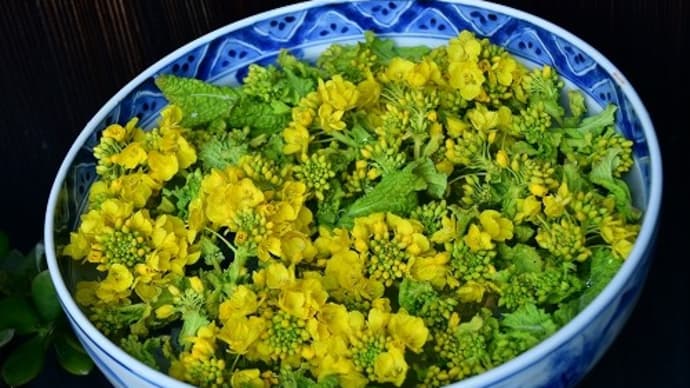 「花手水」 菜の花 を 浮かべて・・・