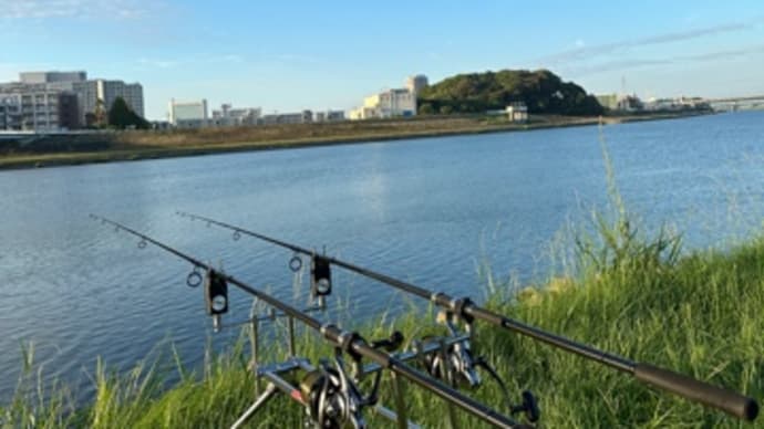 9月26日の鯉釣り