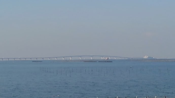 袖ヶ浦海浜公園