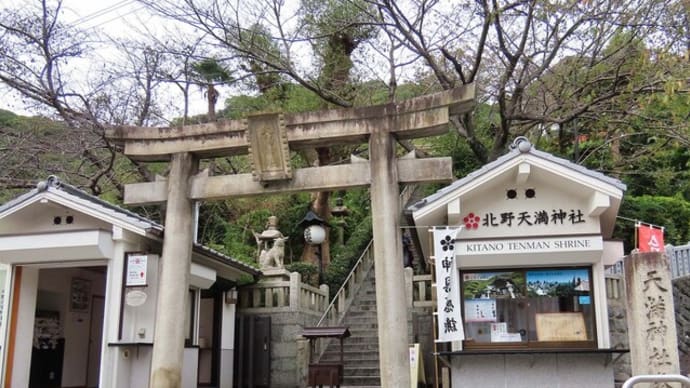 神戸北野天満宮 北野広場の猫