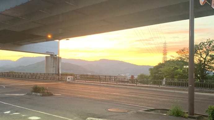 矮小な世界の中で全容を理解する。