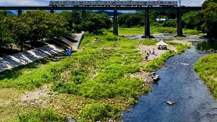 真夏の4連休、入間川中流を歩く。（その3）