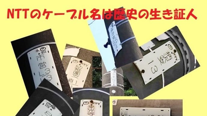 第49回いそご文化資源発掘隊の参加者募集!