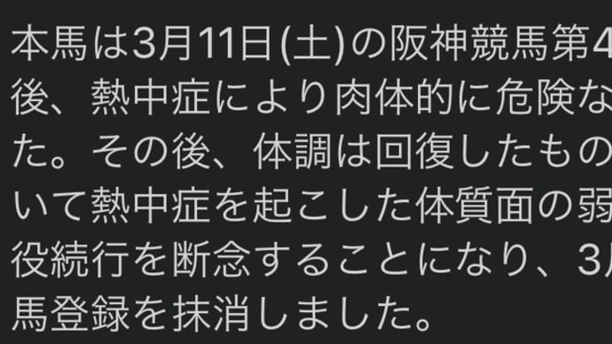 愛馬の引退