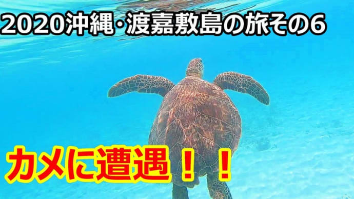 ☆★2020沖縄・渡嘉敷島の旅その6 渡嘉志久ビーチでウミガメに遭遇・・・YouTubeに動画UPしました