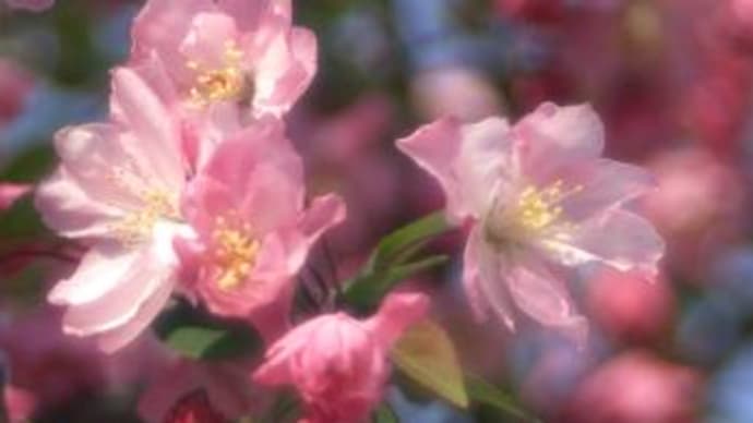 にじみレンズ