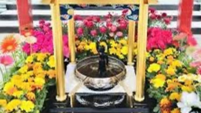 老い先を考える、、、