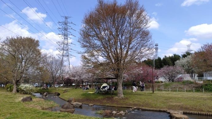 野々下水辺公園(令7春)