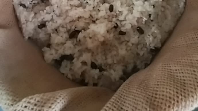 新年度スタート