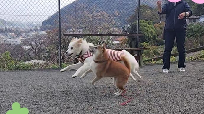 元気いっぱい。続編