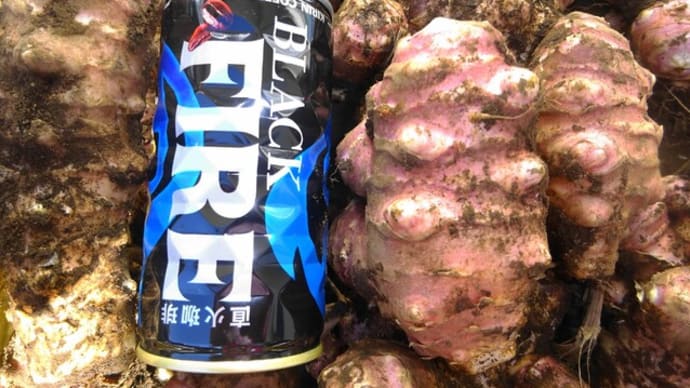 赤生菊芋のご注文お受けしております。(世界健康3大野菜) 菊芋直販店・神奈川県の高城商店