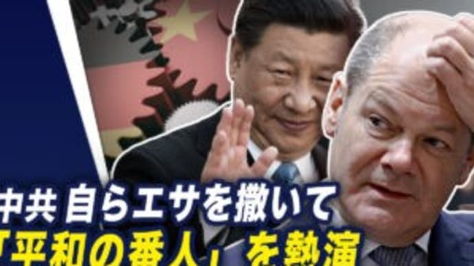 中共の外交、「戦狼」から「羊の皮を被った戦狼」へシフト?【世界の十字路】