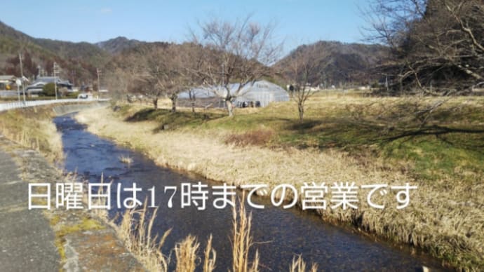 日曜日
