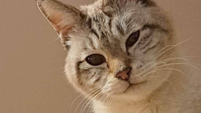 御用納めかあ?