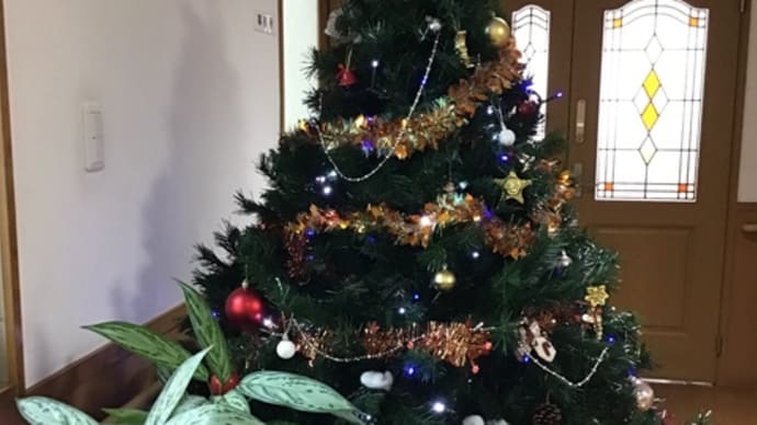 呉ショート クリスマスの甘味処