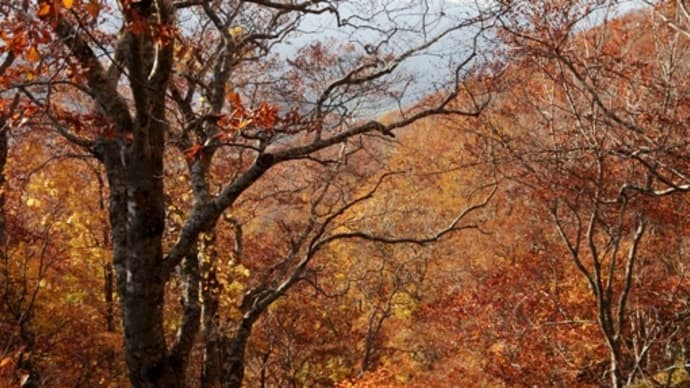 2024年10月17日 岩木山の紅葉② 岳コース