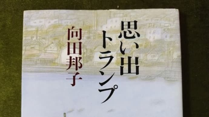 映画鑑賞、散歩、寄り道の合間の読書📚⌛🎦👣⌛