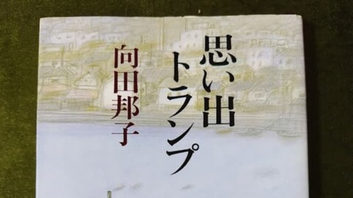 映画鑑賞、散歩、寄り道の合間の読書📚⌛🎦👣⌛　