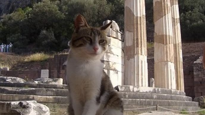 私は番猫～アテナの聖域