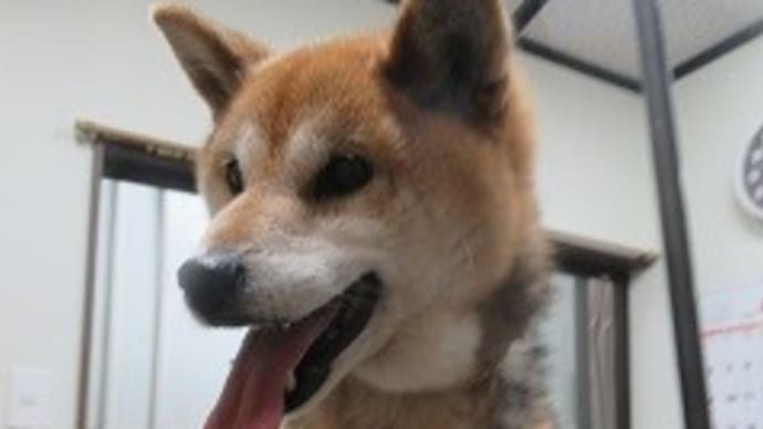 本日は、春らしい名前のレディースデイとなりました!!
