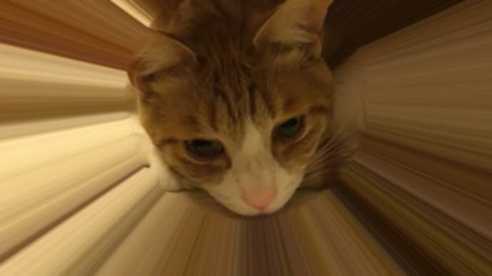 方便なり